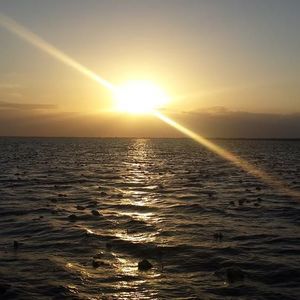 Meet your Posher, Ernie